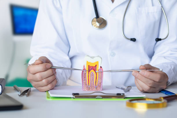 Best Pediatric Emergency Dentist in Walkertown, NC